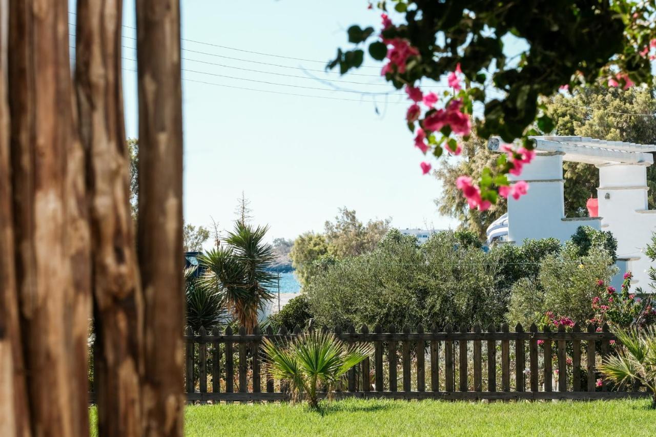 Golden Beach Studios & Suites Tínos Eksteriør bilde