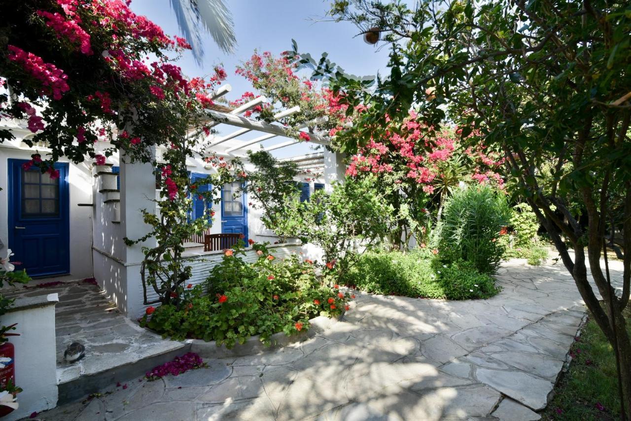 Golden Beach Studios & Suites Tínos Eksteriør bilde