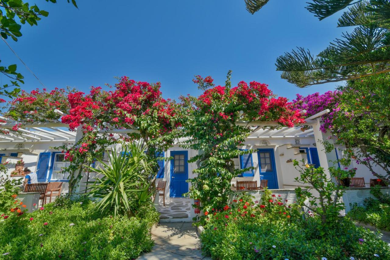 Golden Beach Studios & Suites Tínos Eksteriør bilde