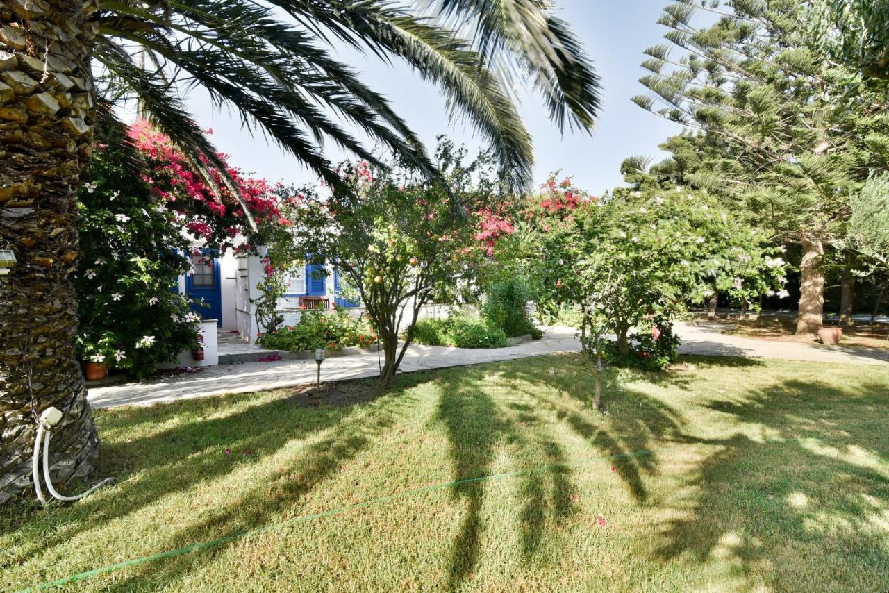 Golden Beach Studios & Suites Tínos Eksteriør bilde